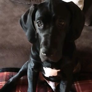 Meet your Posher, Haley